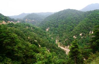 仟億達集團(證券代碼:831999)與河南省信陽市種植合作社就碳資產管理與交易簽約合作 仟億達集團(證券代碼:831999)與河南省信陽市種植合作社就碳資產管理與交易簽約合作