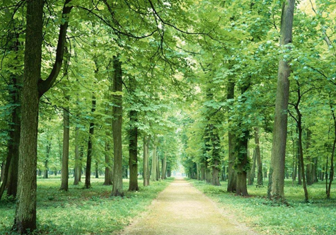 仟億達集團碳資產(chǎn)交易 仟億達集團碳資產(chǎn)交易