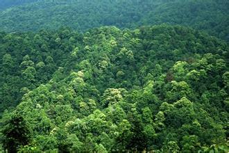 仟億達(dá)碳資產(chǎn)交易 幫人類(lèi)找回一個(gè)干凈的文明社會(huì)